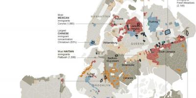 مدينة نيويورك العرق خريطة